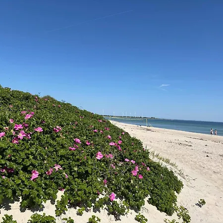 Feriehus Luxury Retreat On Als - By Traum *